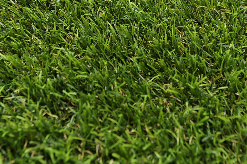 Kunstgras Sinensis - Natuurlijk kunstgras